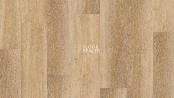 Кварцвиниловые полы Tarkett Rockstars VIKTOR фото 1 | FLOORDEALER