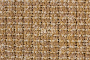Betap Plato_new Plato 220 фото 2 | FLOORDEALER