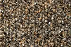 Ковролин Betap Baltic 69 фото  | FLOORDEALER