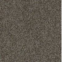 Ковролин Haima Stepway x 4454 фото 1 | FLOORDEALER