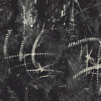 Ege Highline Graphic rf 52203311 фото 1 | FLOORDEALER