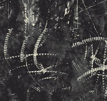 Ковролин Ege Highline Graphic rf 52203311 фото 1 | FLOORDEALER