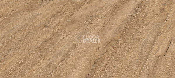 Ламинат Kronotex Robusto 12мм d4705 Америко Светлый фото 1 | FLOORDEALER