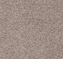 Ковролин AW Masquerade Porzia 49 фото 1 | FLOORDEALER