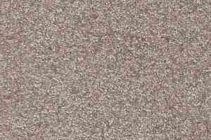 Ковролин AW Masquerade Porzia 49 фото  | FLOORDEALER