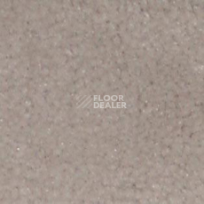 Ковролин Shaw all That Jazz 21142 фото 1 | FLOORDEALER