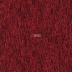 Desso Lita Desso Lita 4201 фото 1 | FLOORDEALER