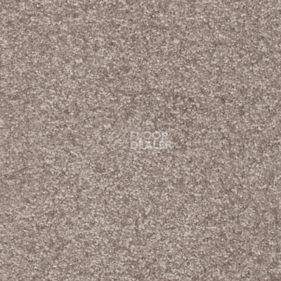 Ковролин AW Masquerade Porzia 49 фото 1 | FLOORDEALER