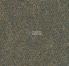 Ковровая плитка Tessera Ethos 553 фото 1 | FLOORDEALER