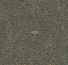 Tessera Ethos 553 фото 1 | FLOORDEALER