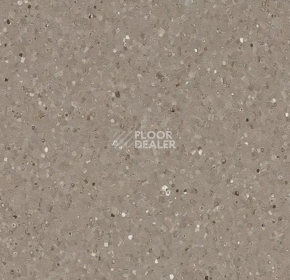 Линолеум Forbo Sphera Elite 50487 axinite фото 1 | FLOORDEALER