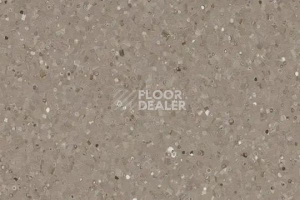 Линолеум Forbo Sphera Elite 50487 axinite фото 1 | FLOORDEALER