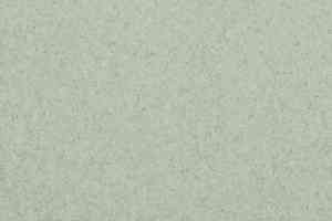 Линолеум Lg Trendy TD12501 фото  | FLOORDEALER