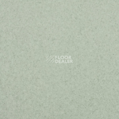 Линолеум Lg Trendy TD12501 фото 1 | FLOORDEALER