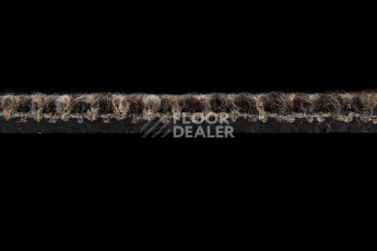Escom Coral 5411 фото 4 | FLOORDEALER