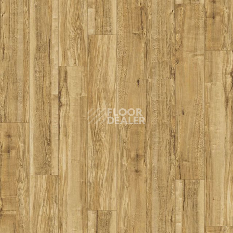 Кварцвиниловые полы Vertigo Trend / Wood 2112 Nut Tree фото 1 | FLOORDEALER
