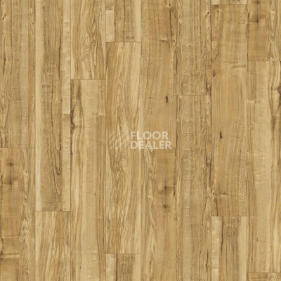 Кварцвиниловые полы Vertigo Trend / Wood 2112 Nut Tree фото 1 | FLOORDEALER