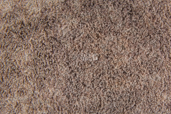 Flotex Colour Calgary 50*50 t 590023 Calgary Espresso фото 3 | FLOORDEALER