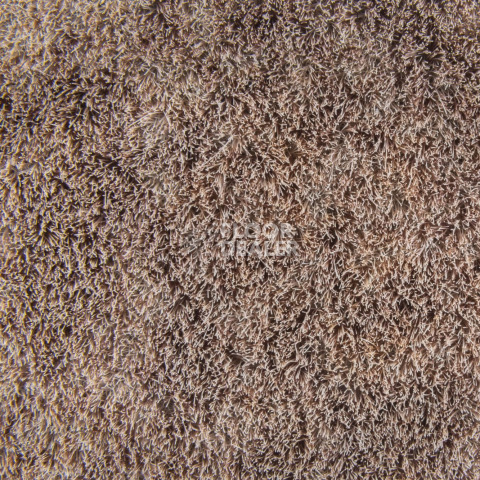 Forbo Flotex Colour Calgary 50*50 t 590023 Calgary Espresso фото 3 | FLOORDEALER
