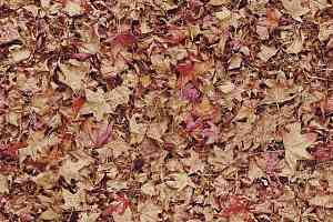 Ковролин Halbmond Pure Elements 13843 фото  | FLOORDEALER