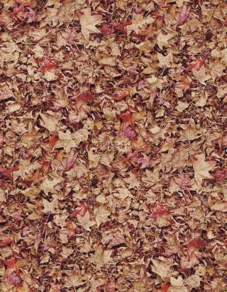 Ковролин Halbmond Pure Elements 13843 фото 1 | FLOORDEALER