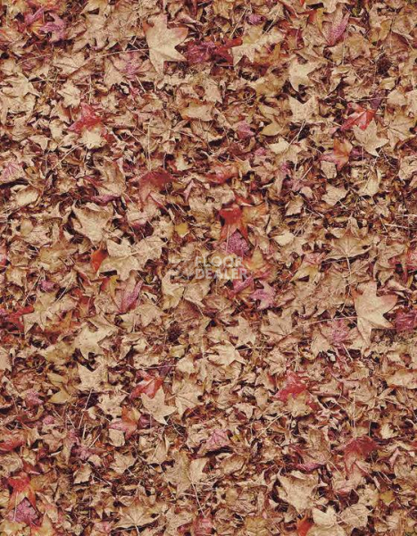 Ковролин Halbmond Pure Elements 13843 фото 1 | FLOORDEALER