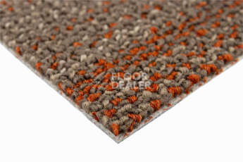 Neuflor Sandunes 300506 + Rust фото 4 | FLOORDEALER