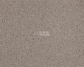 Ковролин Lano Moon 260 Camel фото 1 | FLOORDEALER