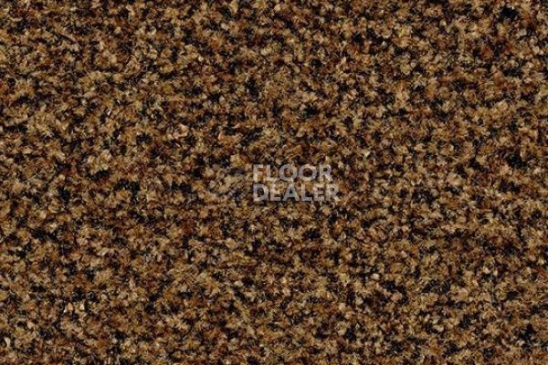 Грязезащитные покрытия Forbo Coral в плитке 5716 masala brown фото 1 | FLOORDEALER