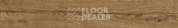 Керамогранит Delaware Delaware Nogal 19,3x120 фото 1 | FLOORDEALER
