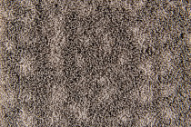 Flotex metro planks p 946011 Metro Pebble фото 2 | FLOORDEALER