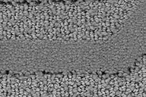 Ковролин Balsan Citadelle 920 фото  | FLOORDEALER