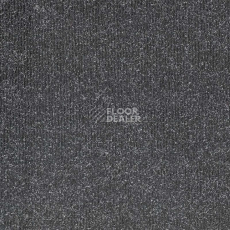Ковролин Зартекс Форса Форса 085 Антрацит фото 1 | FLOORDEALER
