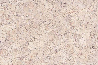 Пробковое покрытие Eco Cork замковое P999 CREME фото 1 | FLOORDEALER