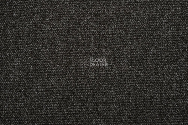 Ковролин Romeo Park 573 фото 1 | FLOORDEALER