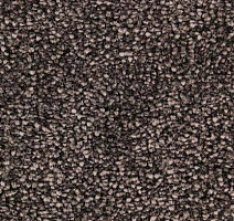 Ковролин Edel Bellezza 283 фото 1 | FLOORDEALER