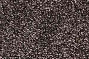 Ковролин Edel Bellezza 283 фото  | FLOORDEALER