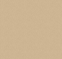 Ковролин Agnella Natural Koni Beige фото 1 | FLOORDEALER