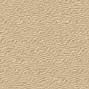 Ковролин Agnella Natural KONI-beige фото ##numphoto## | FLOORDEALER