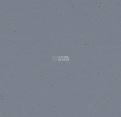 Forbo Marmoleum Solid Cocoa 3586 indigo milk фото 1 | FLOORDEALER