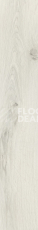 Кварцвиниловые полы Vertigo Inspire планка 9200 BIANCO OAK фото 1 | FLOORDEALER