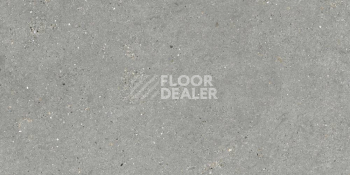 Керамогранит Mitica 60X120 Gris фото 1 | FLOORDEALER