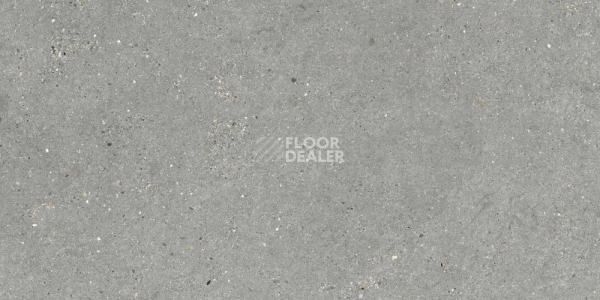 Керамогранит Mitica 60X120 Gris фото 1 | FLOORDEALER