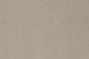 Ковролин Balta ITC Prominent 39 фото  | FLOORDEALER