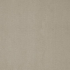 Ковролин Balta ITC Prominent 39 фото 1 | FLOORDEALER