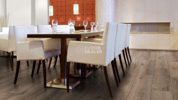 Kronotex Exquisit Plus d6020 Дуб Кашмир Титан фото 5 | FLOORDEALER