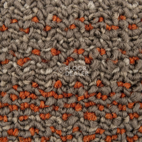 Neuflor Sandunes 300506 + Rust фото 2 | FLOORDEALER