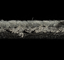 Balsan Signal Balsan Signal 960 фото 5 | FLOORDEALER