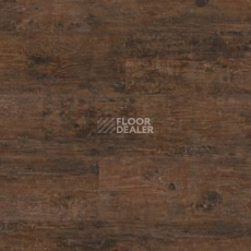 Линолеум Polyflor Camaro Wood 2238 фото 1 | FLOORDEALER