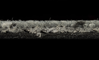 Balsan Signal Balsan Signal 960 фото 5 | FLOORDEALER